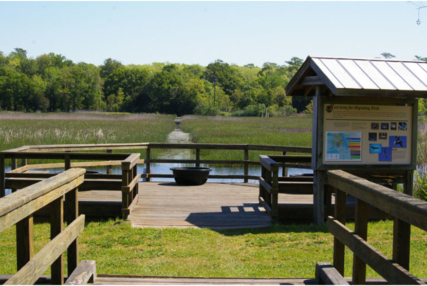 Ravenel Caw Caw Interpretive Center