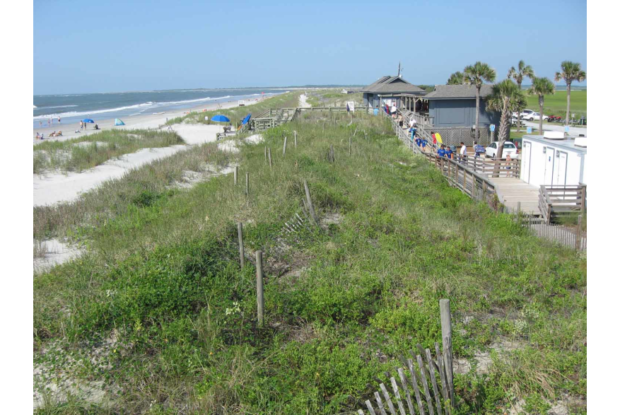 Folly Beach County Park