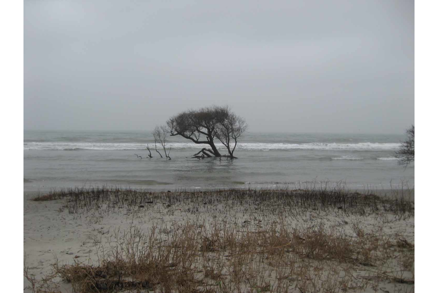 Erosion at Folly Beach County Park