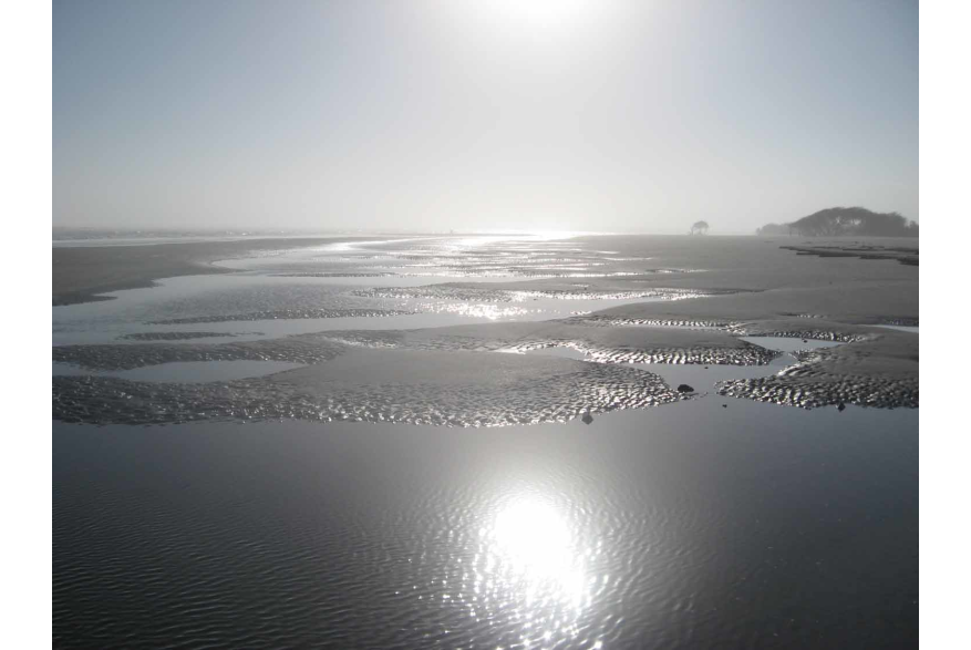 Erosion at Folly Beach County Park