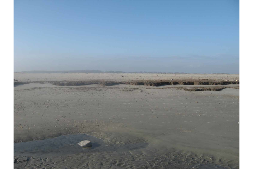 Erosion at Folly Beach County Park
