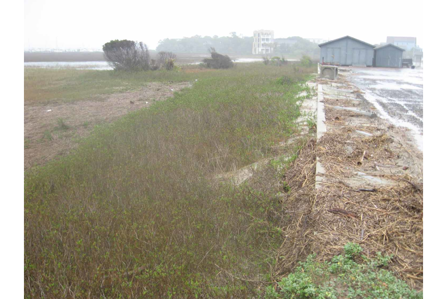 Erosion at Folly Beach County Park