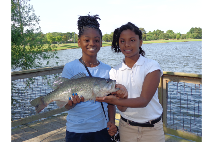 2014 CTFT Photo Contest: Second Place