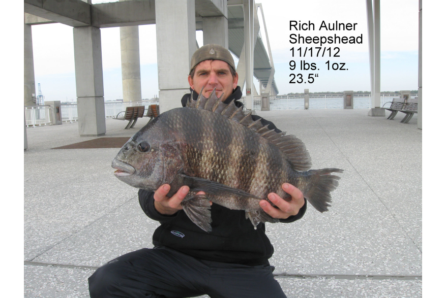 Rich Aulner & 9lb. Sheepshead