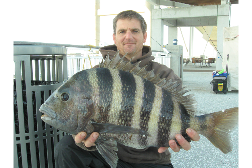 Rich Aulner & 11lb. 12 oz. Sheepshead