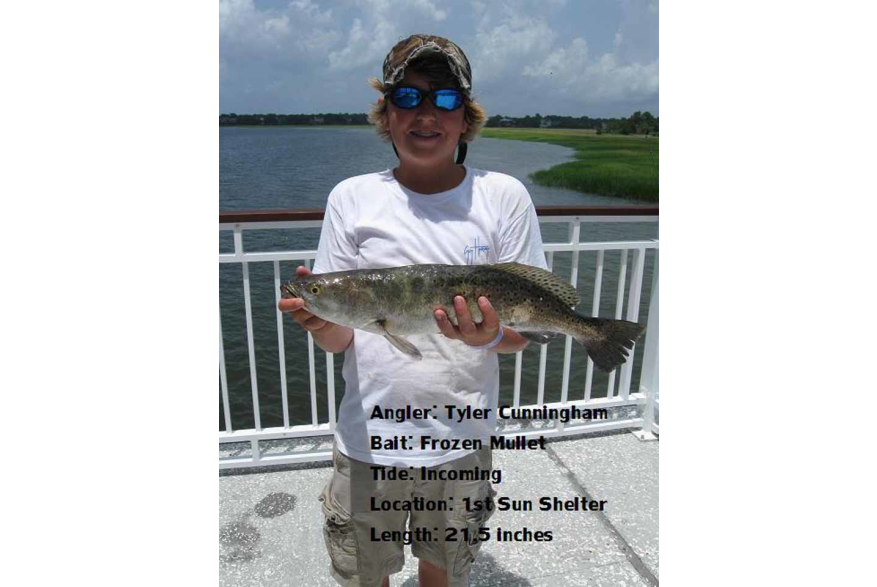 21.5 inch Spotted Sea Trout