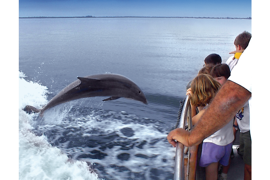 photo of dolphin jumping behind boat with children watching from cruise