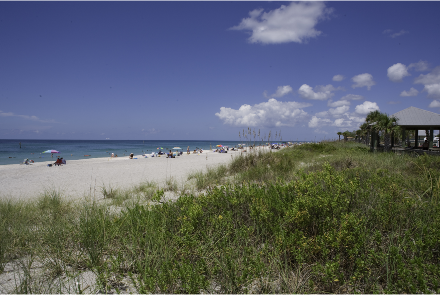 Clear Blue Sky and Blue Water at Stump Pass Beach State Park, beach grasses and people near the water