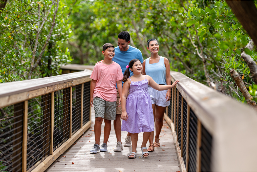 Family Nature Walk at Ponce de Leon Park