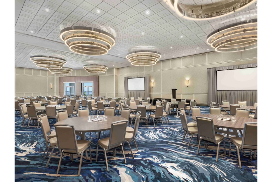 Royal Tern - Junior Ballroom