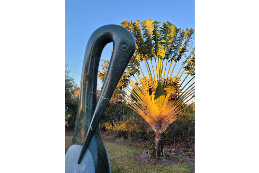 Zimsculpt Sculpture of a Crane in Front of a Fan Palm at Peace River Botanical & Sculpture Gardens