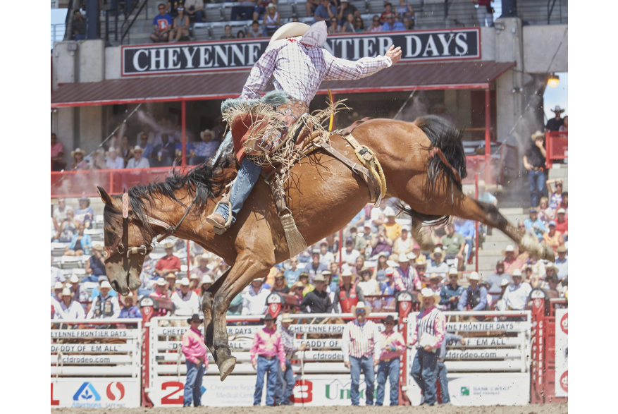 A cowboy competes on a bucking bronco at Cheyenne Frontier Days
