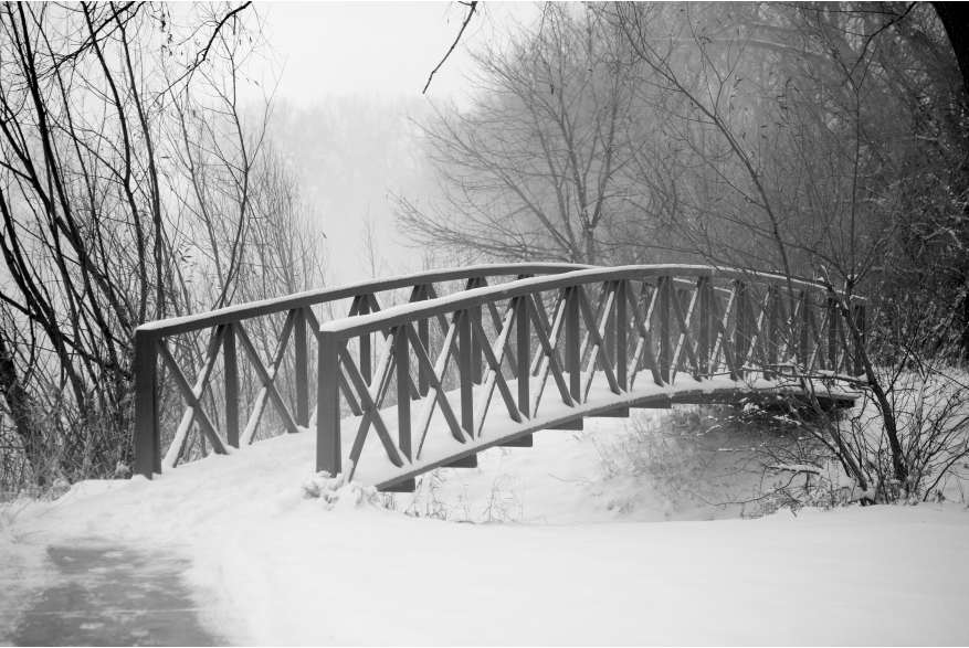 Bridge in Lions Park