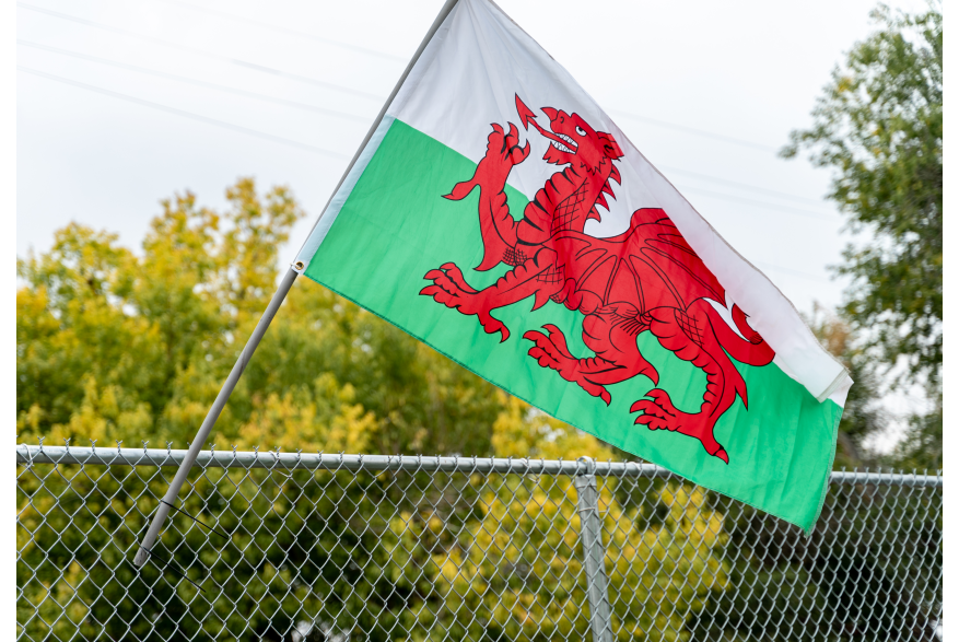 A flag at the Celtic Festival