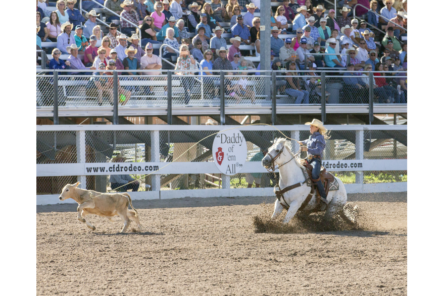 A cowgirl competes in the breakaway roping competiting