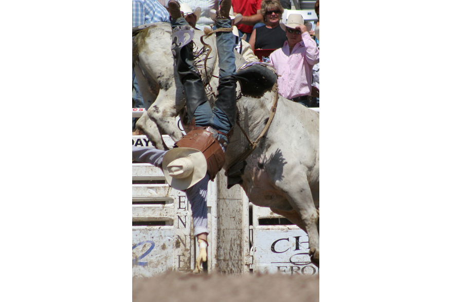 Rodeo Action