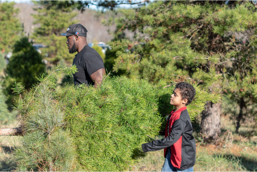man and son selecting a fresh-cut Christmas tree