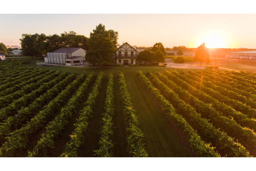 sunrise over Beachaven Vineyards and Winery
