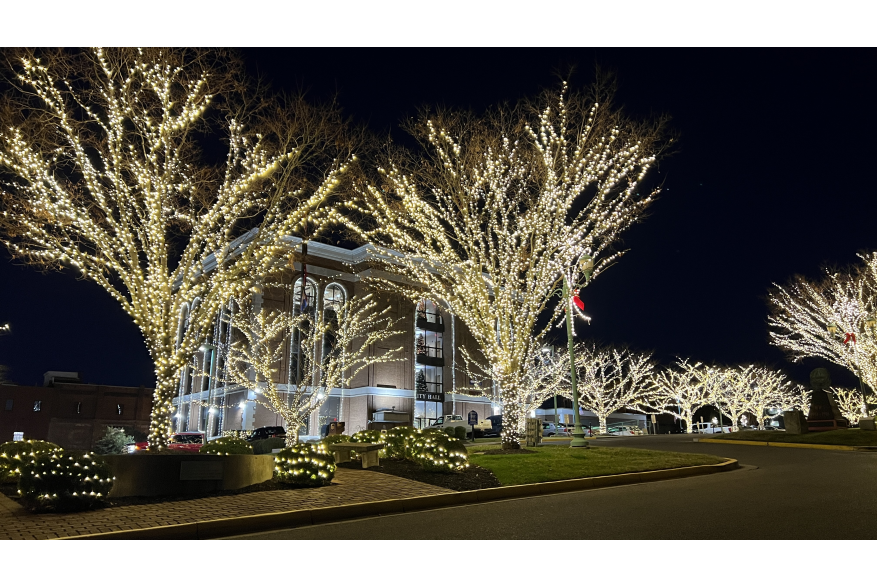 Christmas lights on trees in Public Square