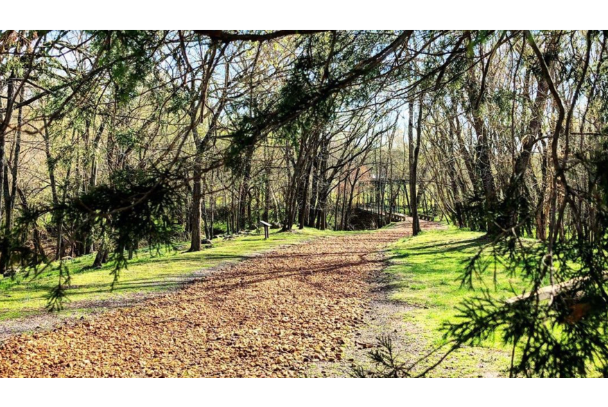 walking trail at Port Royal State Park