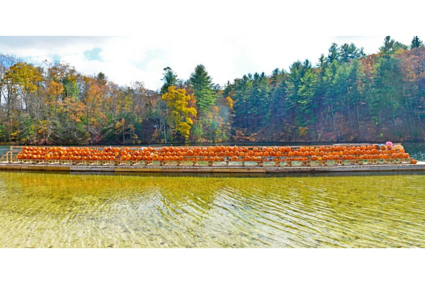 Fall Furnace Festival at Pine Grove Furnace State Park