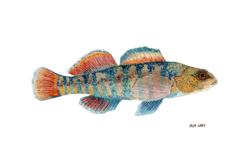 Gerald W Putt Studio