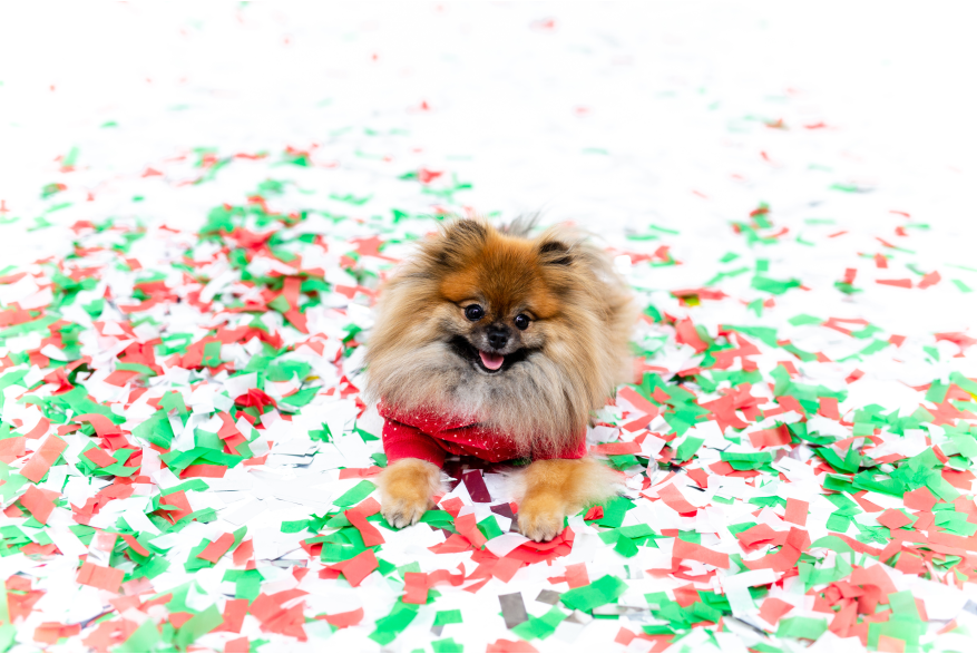 ConfettiMinis17.jpg