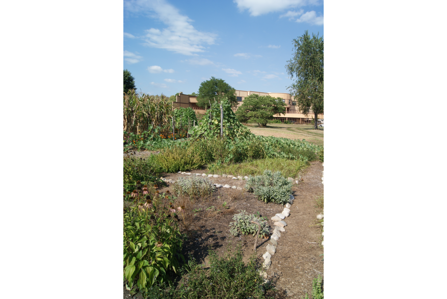 3 sisters garden 1