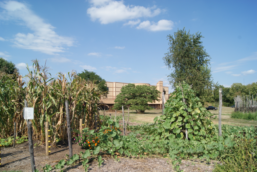 3 sisters garden 2