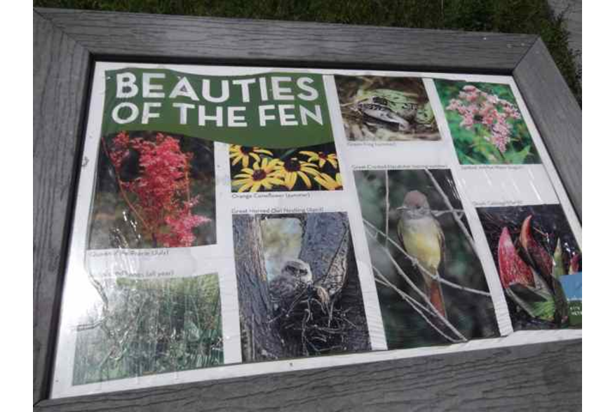 BeautySign