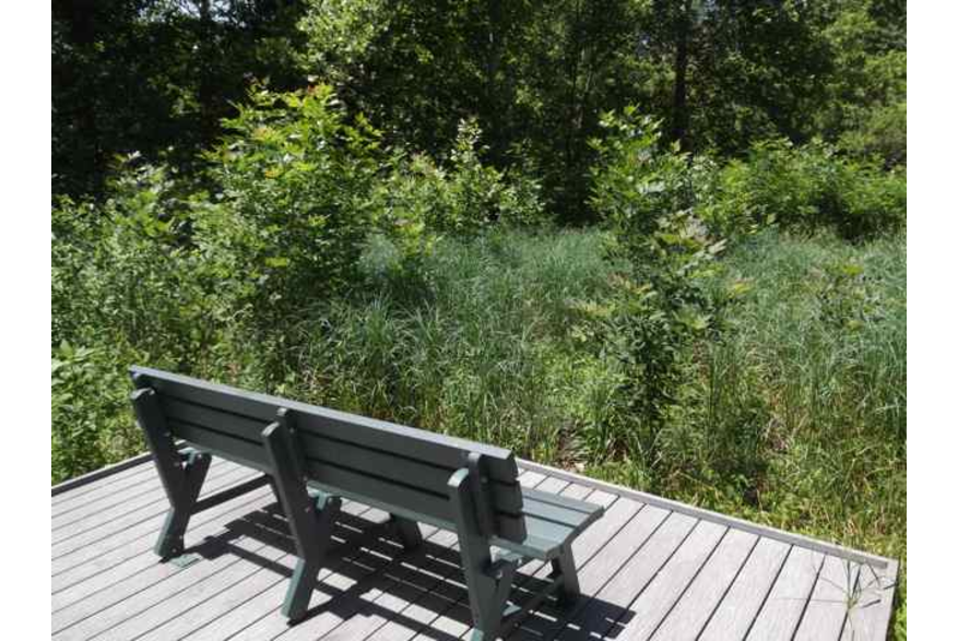 Bench