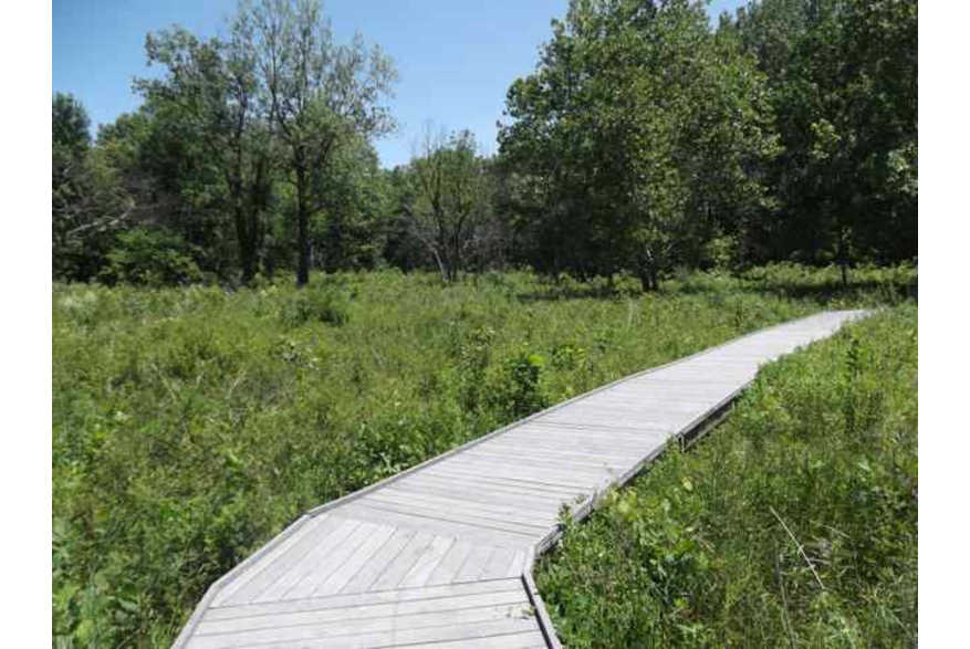 Boardwalk3