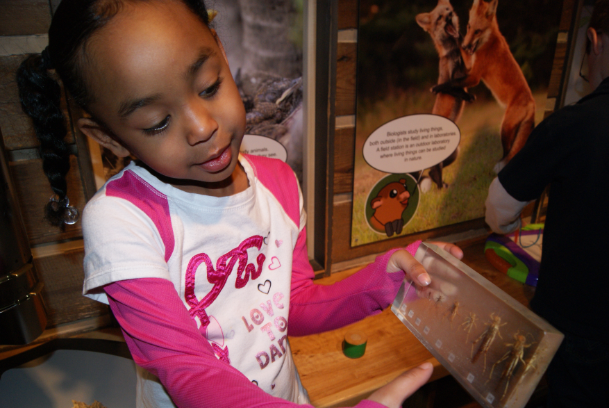 Boonshoft Museum Preschool in Kids PLAYce