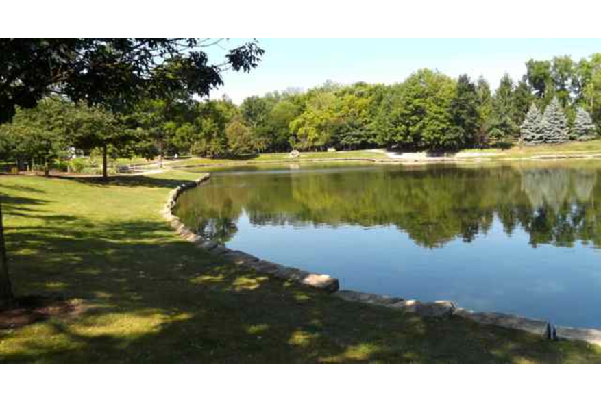 Pond View