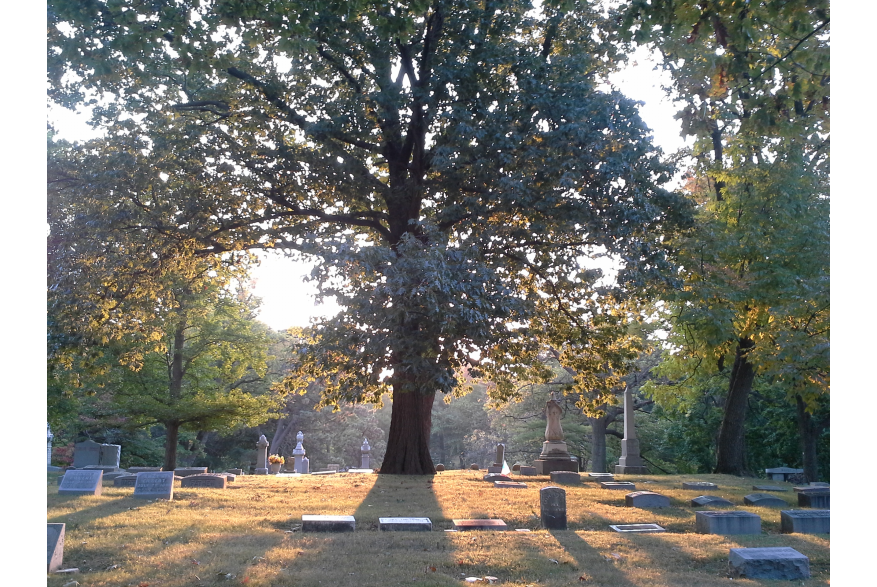 Woodland Cemetery 1