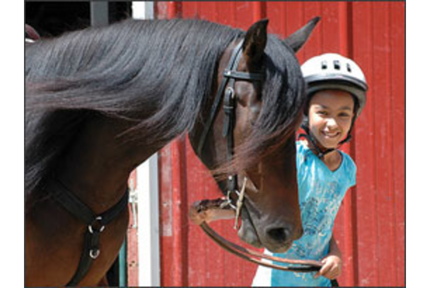 buch blog #1 images photo_riding_center