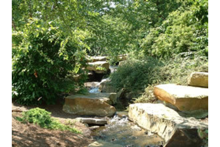 cox arboretum in dayton
