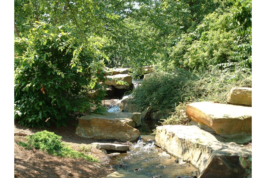cox_arboretum_2