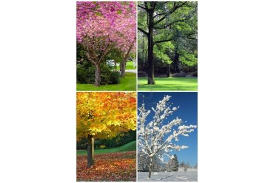 Seasons In Dayton