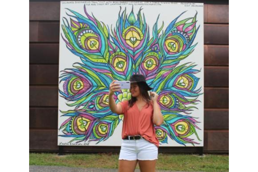 Laura Erickson art