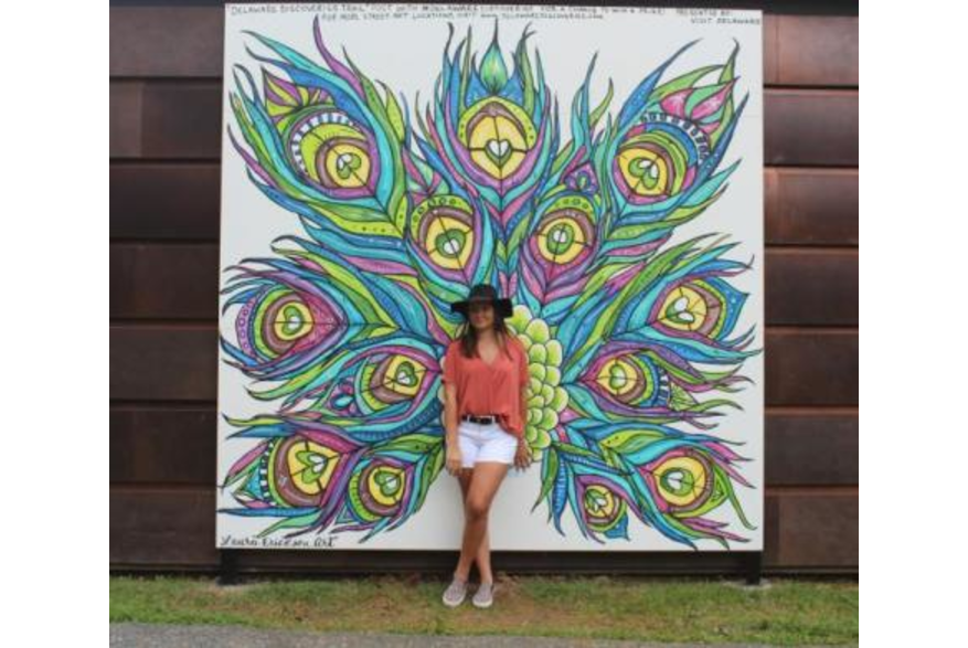 Laura Erickson art