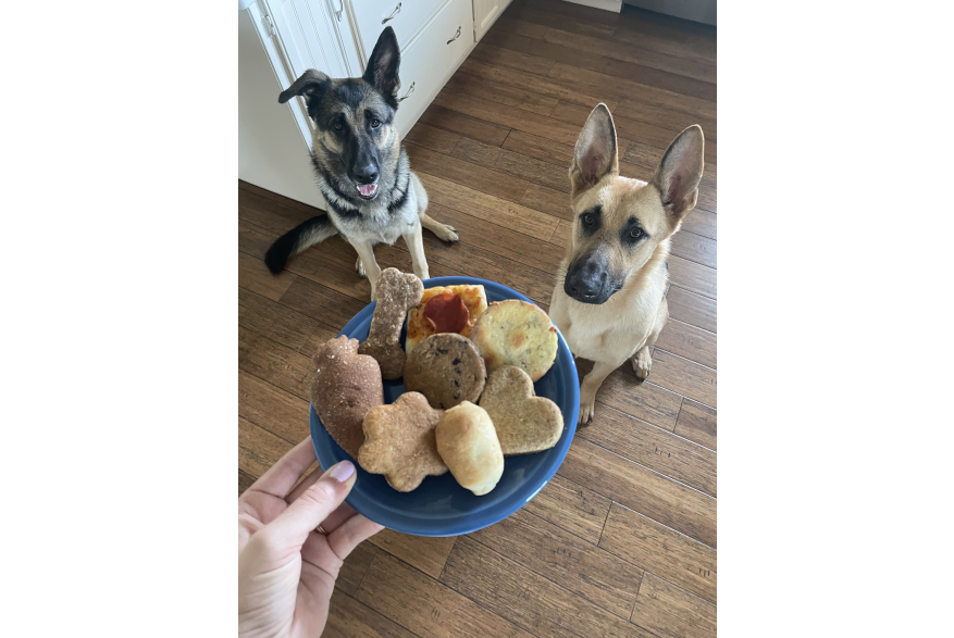 Homemade Dog Treats from Susie’s Scrumptious Snacks at Denton Community Market