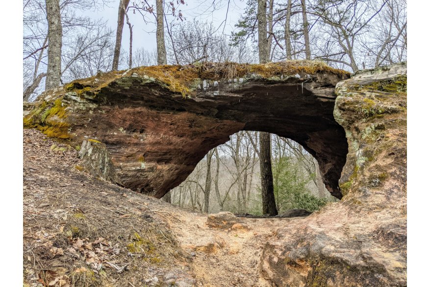 #CaptureTheKentuckyWildlands Photo Contest May/June 2021 - Natural World Category - Arch in Sheltowee Trace Photo by Sharon Standifer
