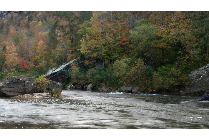 #CaptureTheKentuckyWildlands Photo Contest May/June 2021 - Natural World - Big South Fork Fall Colors Photo by Greg Davis