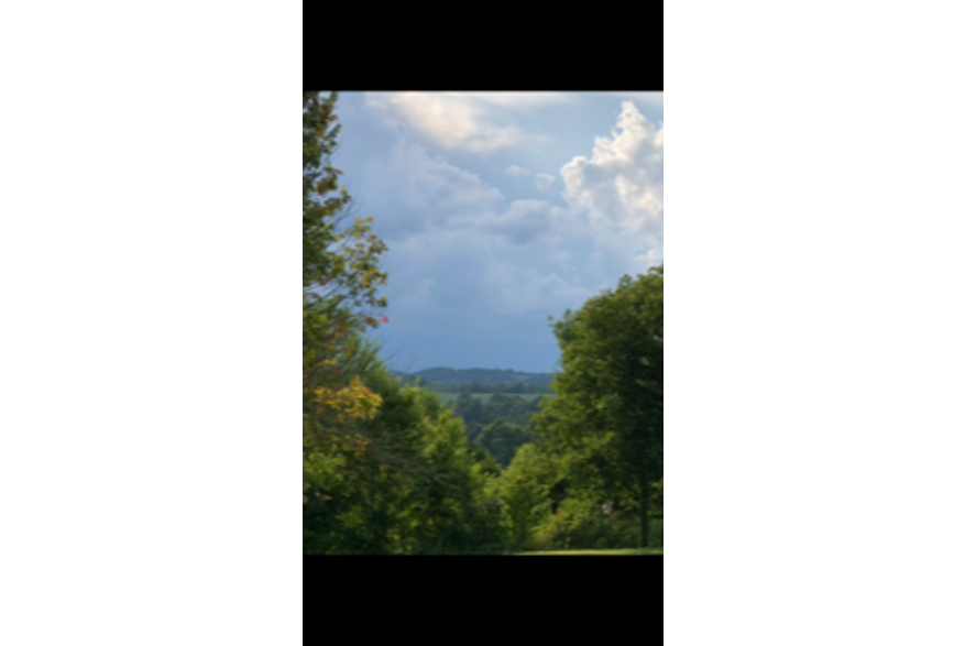 #CaptureTheKentuckyWildlands Photo Contest May/June 2021 - Natural World - Between the Trees Photo by Stephanie Hall