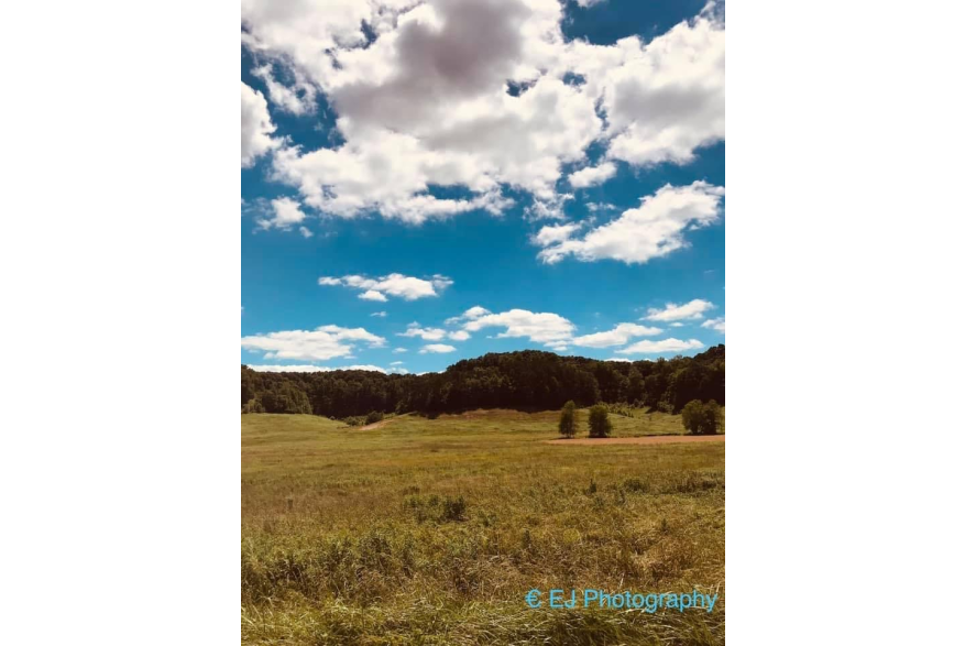 #CaptureTheKentuckyWildlands Photo Contest May/June 2021 - Natural World - Blue Skies Photo by Erica Stevens