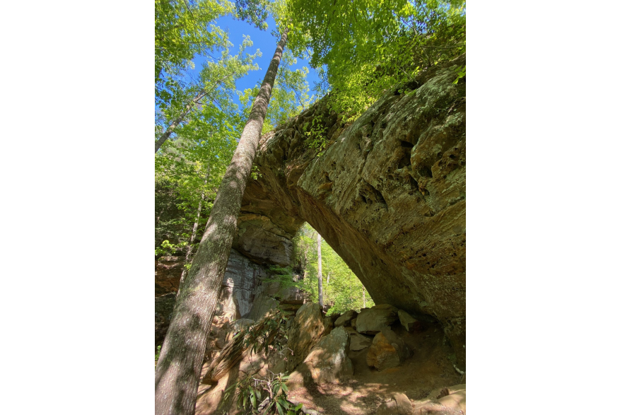 #CaptureTheKentuckyWildlands Photo Contest May/June 2021 - Mobile - Grays Arch Photo by Dustin Robinson