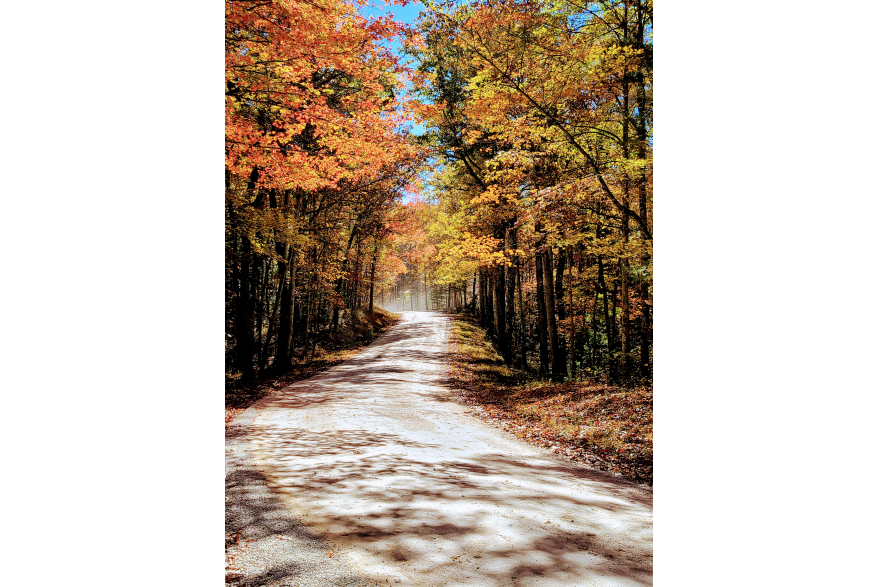 Nature's Fall Palette (Red River Gorge) by Janet Johnson.