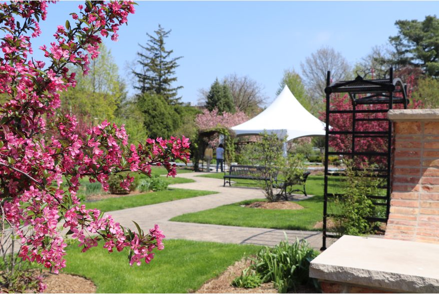 Elmhurst Park District