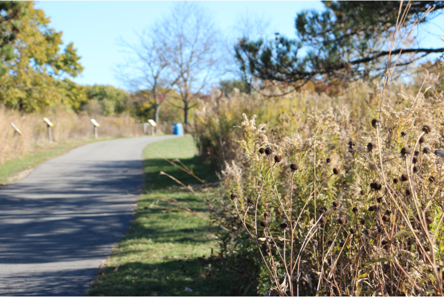 Elmhurst Park District